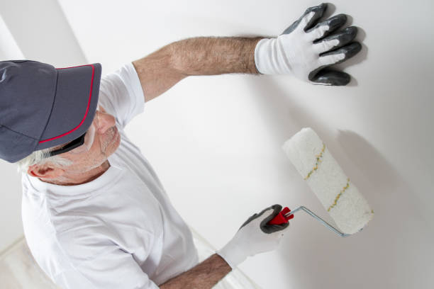 Best Basement Mold Removal  in Rittman, OH