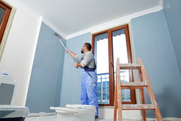 Best Mold Odor Removal Services  in Rittman, OH