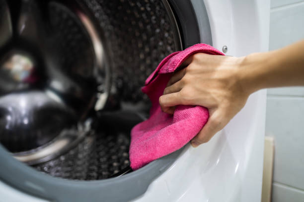 Best Mold Damage Restoration  in Rittman, OH