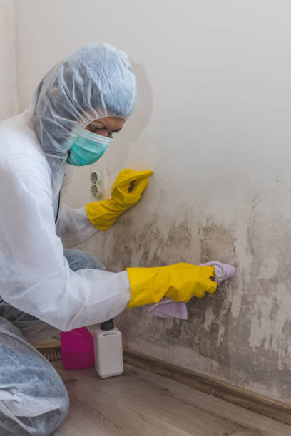 Asbestos and Lead Testing During Mold Inspection in Rittman, OH
