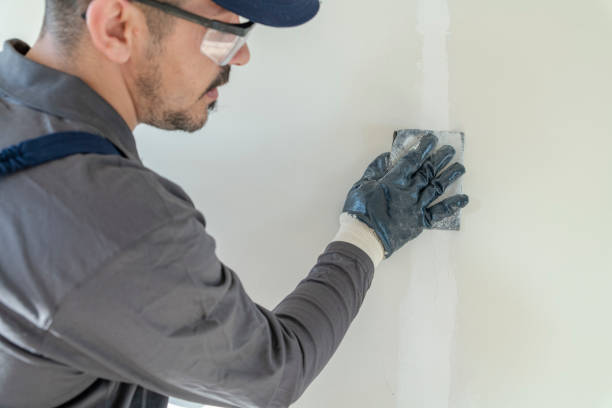 Best Mold-Related Health Consultation  in Rittman, OH
