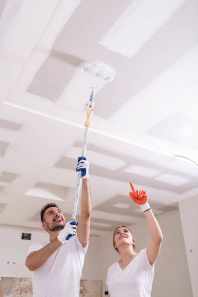 Professional Mold Removal in Rittman, OH