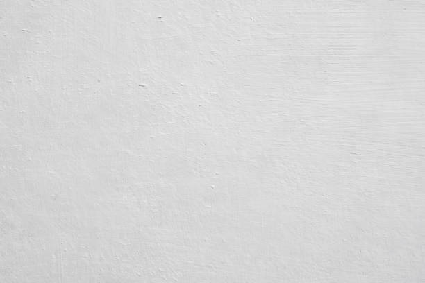 Mold Documentation for Insurance Claims in Rittman, OH