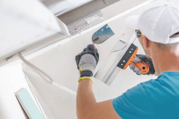 Best Emergency Mold Remediation  in Rittman, OH
